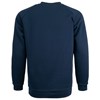 Junior Sweatshirt (Years 9 & 10) - ink